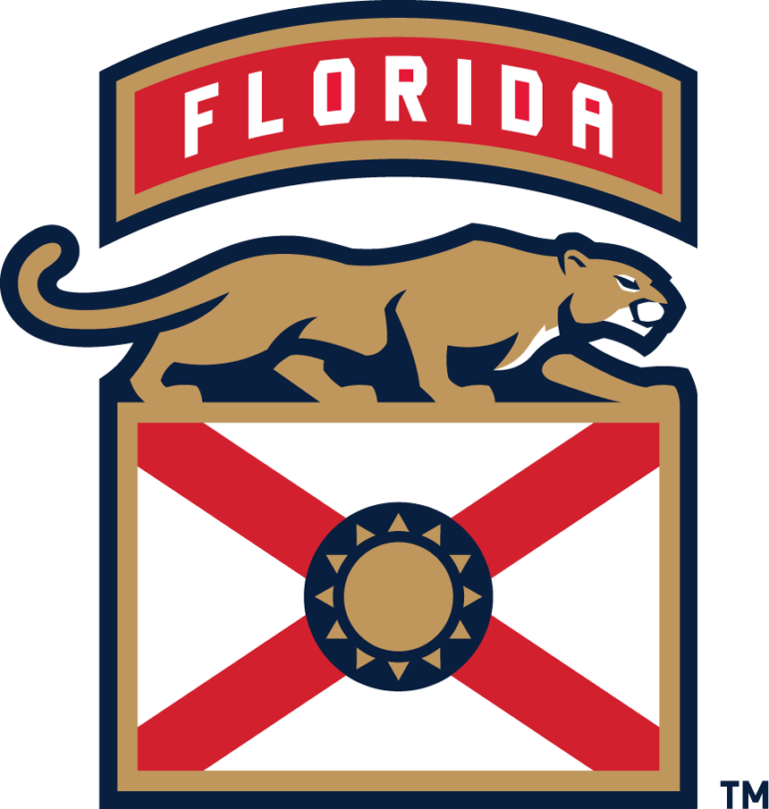 Florida Panthers 2016-Pres Alternate Logo v4 DIY iron on transfer (heat transfer)